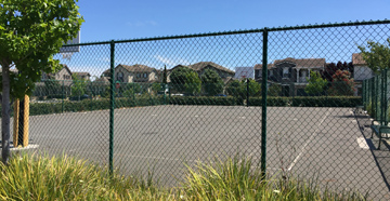 Basketball Court