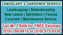 Landscape Service - TRAN