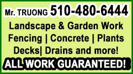 Landscape Service - TRUONG