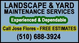 Landscape Services - JOSE FLORES