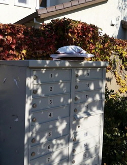 Bundle Of Mail Left On Mailbox