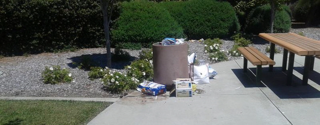Mario Alvarez - Trash Mario Alvarez - Trash
